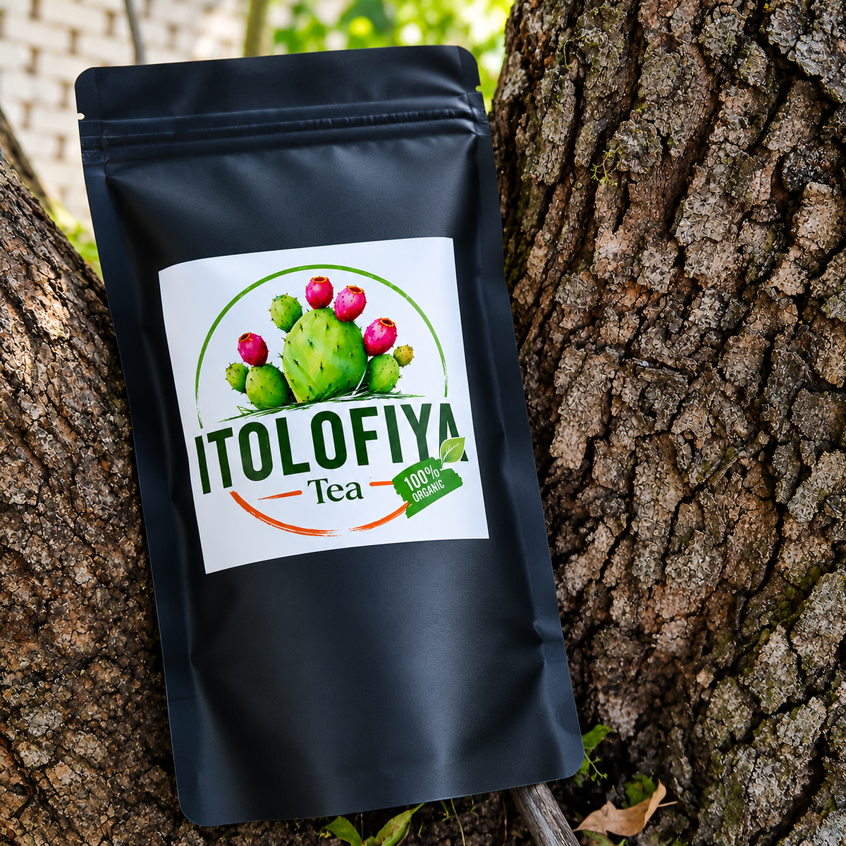 Tanien Itolofiya Tea