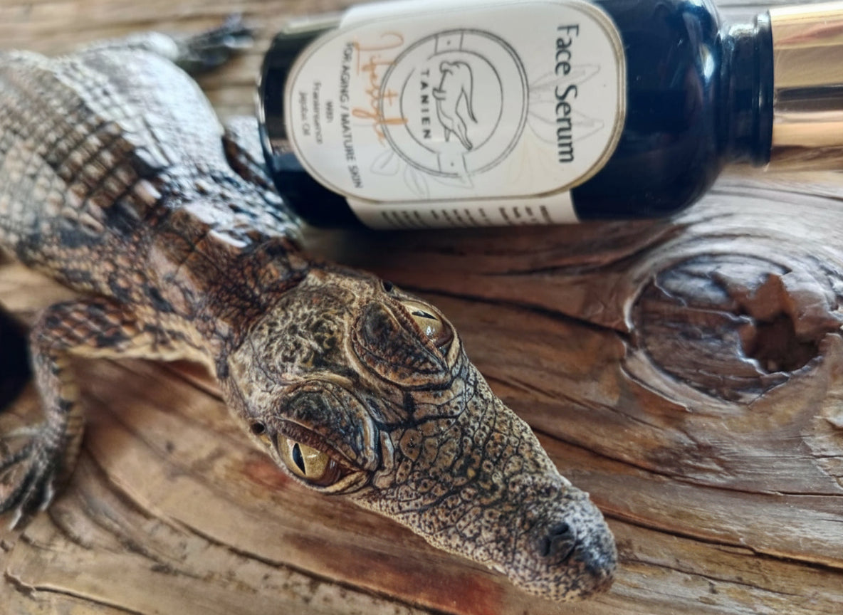 Tanien Lifestyle Face Serum for oily skin - 30ml